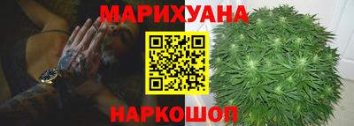 прущие грибы Комсомольск-на-Амуре