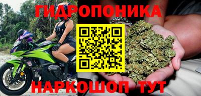эйфоретик Коммунар
