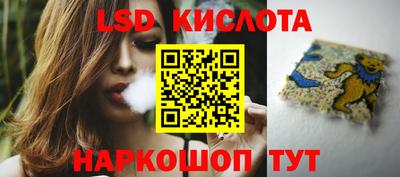 прущие грибы Комсомольск-на-Амуре