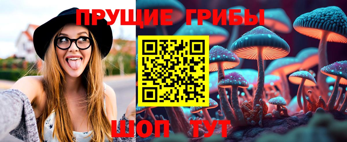 Псилоцибиновые грибы Cubensis  продажа наркотиков  Кинель  Вход с VPN 