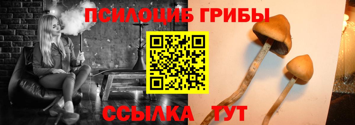 Псилоцибиновые грибы мухоморы Кинель